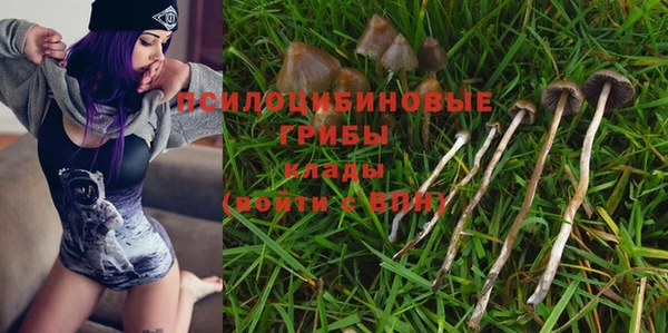 трава Новодвинск