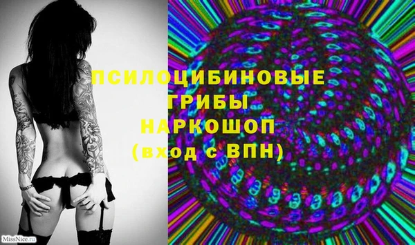 МДПВ Аркадак