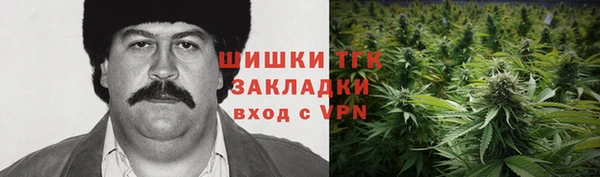 трава Новодвинск