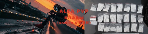 дмт Новозыбков