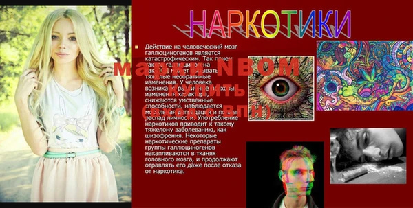 дмт Новозыбков