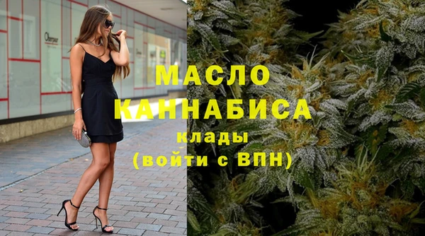 дмт Новозыбков